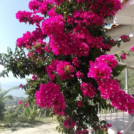 Nyaraló Vasiliki View