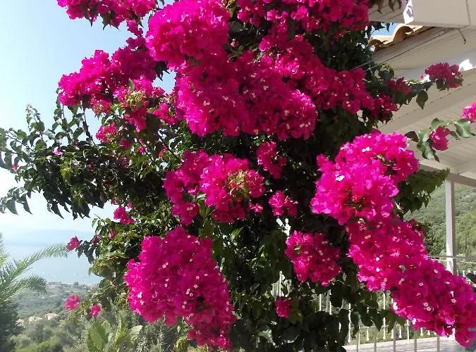 Semesterbostad Vasiliki View